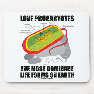 Love Prokaryotes Most Dominant Life Forms On Earth Mouse Pad