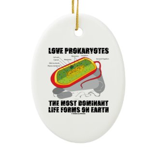 Love Prokaryotes Most Dominant Life Forms On Earth Ornament