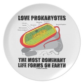 Love Prokaryotes Most Dominant Life Forms On Earth Plates