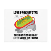Love Prokaryotes Most Dominant Life Forms On Earth postcards by wordsunwords Love Prokaryotes Most Dominant Life Forms On Earth postcards