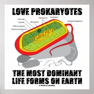 Love Prokaryotes Most Dominant Life Forms On Earth Print