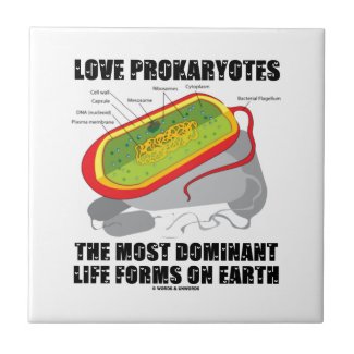 Love Prokaryotes Most Dominant Life Forms On Earth Ceramic Tile