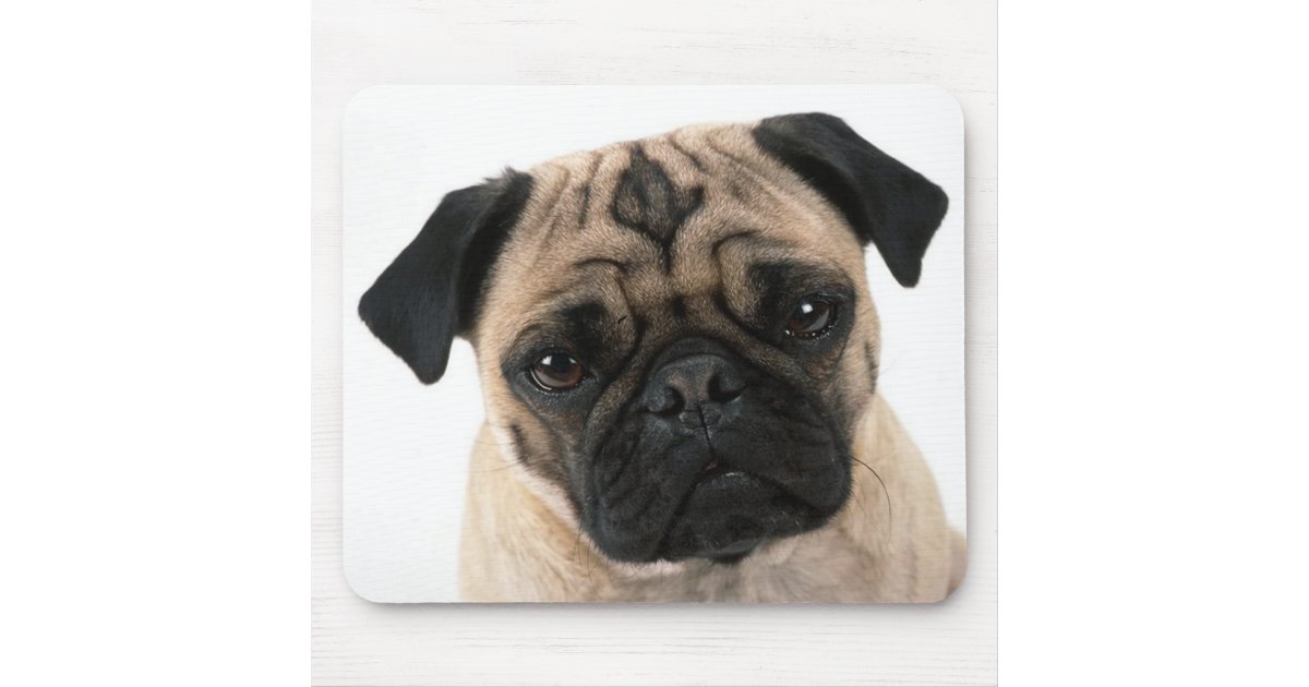 pug hearts pug puppy with mousepad zazzle pug hearts pug puppy with mousepad zazzle