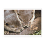 Love Quote - Otters Postcard