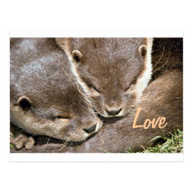 Love Quote - Otters Postcard
