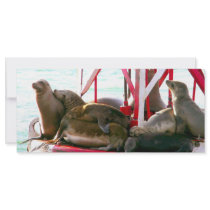Love_ rack cards by ELENNE Love_ rack cards