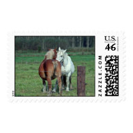 Love, romance: 2 Belgian heavy horses photo Postage Stamps
