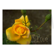 Love Rose 1C Greeting Card