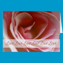 Love Rose Card cards