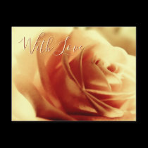 Love Rose Flower Customizable Postcard postcards