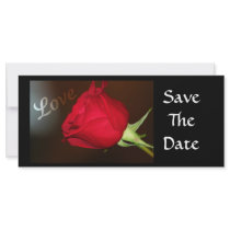 Love Rose Rack Card