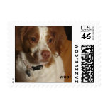 Love Sadie postage