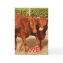 Love Sharing cards