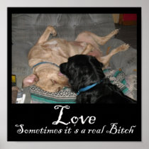 Love Some times it's a real bitch Print