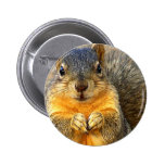 Love Squirrel_ Buttons