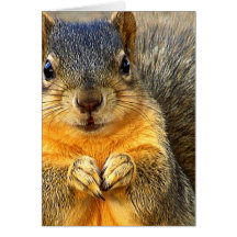 Love Squirrel_ Card