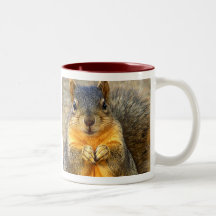 Love Squirrel_ Coffee Mug