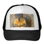 Love Squirrel_ Hats