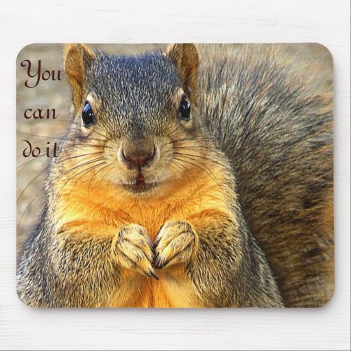 Love Squirrel_ Mouse Pads