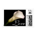 Love Stamps White Calla Lily Wedding Stamps stamps