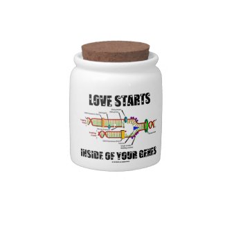 Love Starts Inside Of Your Genes (DNA Replication) Candy Dish