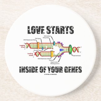 Love Starts Inside Of Your Genes (DNA Replication) Beverage Coaster