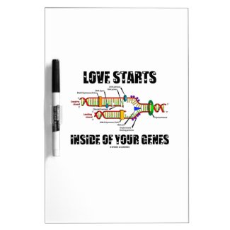 Love Starts Inside Of Your Genes (DNA Replication) Dry Erase Whiteboard