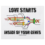 Love Starts Inside Of Your Genes (DNA Replication) flyers