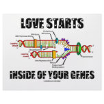 Love Starts Inside Of Your Genes (DNA Replication) Custom Letterhead