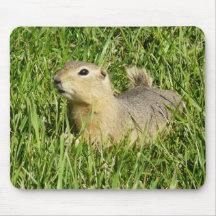 Love That Sunshine! Mousepad