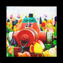 Love the hydrant magnets by jessamynnorth Love the hydrant magnets