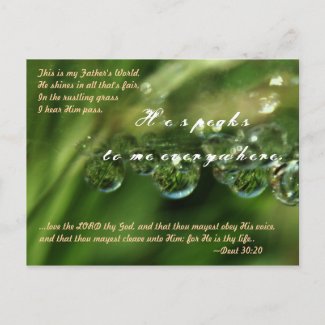 ...love the LORD thy God, and that thou mayest obe postcard