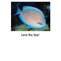 Love the Sea! t-shirts