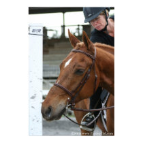Love this Horse Poster posters by EquineGal Love this Horse Poster posters