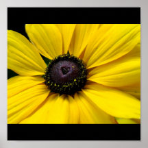 Love till it lights- Black eyed susan Posters