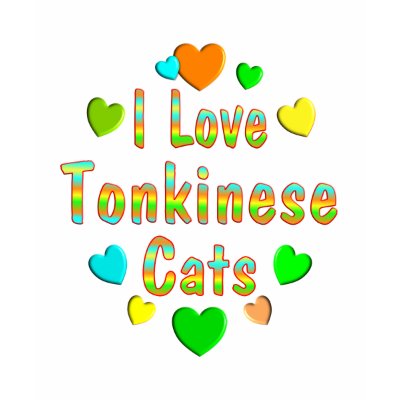 Love Tonkinese Cats Tshirts by MyFavoriteCat