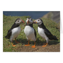 Love Triangle Greeting Cards