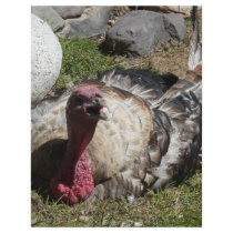 love turkeys don't eat them flyer design
