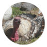 love turkeys don't eat them stickers