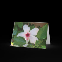 love valentine's flower cards
