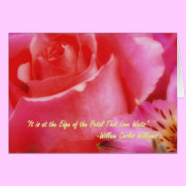 Love Waits cards