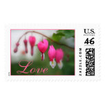 Love Wedding Postage Stamp stamps
