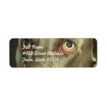 Love Weimaraner  Mailing Labels