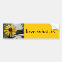 love what is 2 bumper stickers