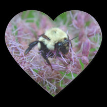 Love Wildlife Stickers - Bumble Bee on Gravelroot stickers