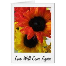 lOVE WILL COME AGAIN
