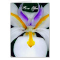 Love You/Any Occasions_Card