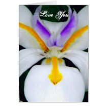 Love You/Any Occasions_Card by zazzlegirboy09 Love You/Any Occasions_Card