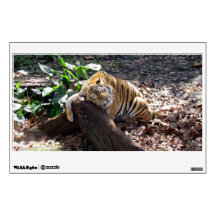 Love You Like a Rock - Bengal Tiger - Wall Decal