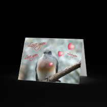 Love You, Love You-Cute Bird with Hearts cards